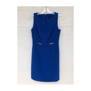 Gorgeous Ann Taylor Petite Dress